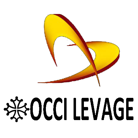 logo Occi Levage